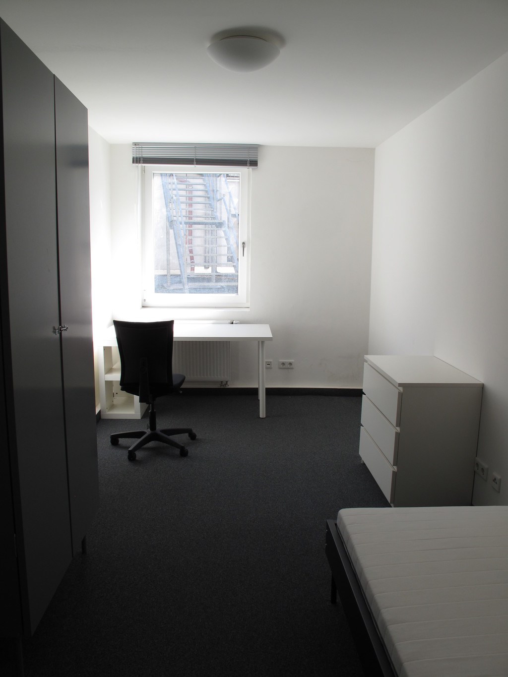 Zimmer 15.1.26